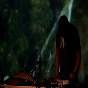 Bienal de Artes Mediales de Santiago de Chile, 2013, Concierto Con Ramas Secas de Árboles y Plantas. (En Vivo)