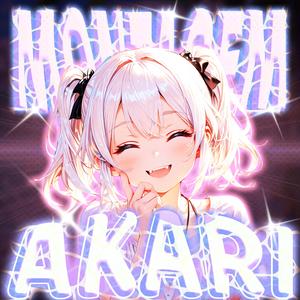 Montagem Akari