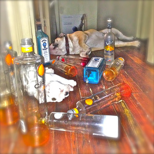 WgW (Wanna Get Wasted)