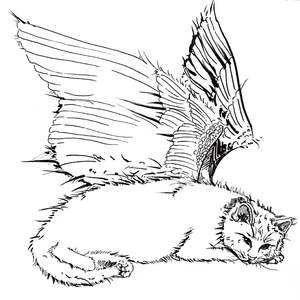 想像鸟儿一样飞