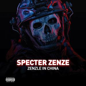 Zenzle In china
