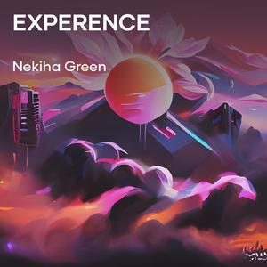 Experence