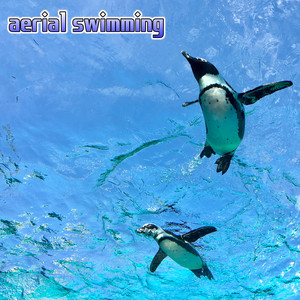 aerial swimming