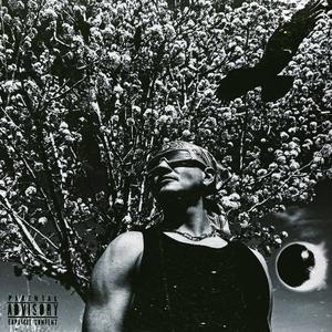 SHADOWS IN THE NIGHT