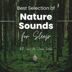 特別な夜の安眠音楽～自律神経にやさしい音楽たち～