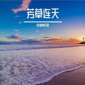 奔跑缀星光