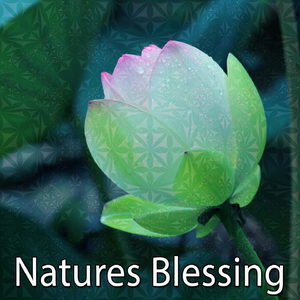 Garden Of Peace and Nature