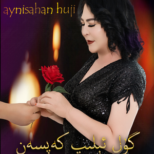 gul elip kapsan(你带了花) 伴奏