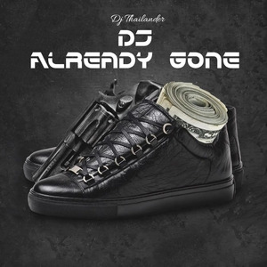 Dj Already Gone