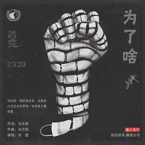 吴东刚-为了啥（马健 remix）