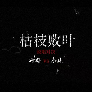 【史诗级说唱对决】我vs我