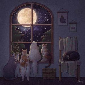 rainy night（guitar）