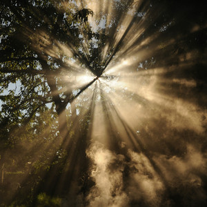 晨光中的救赎者