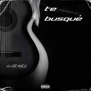 Te busqué