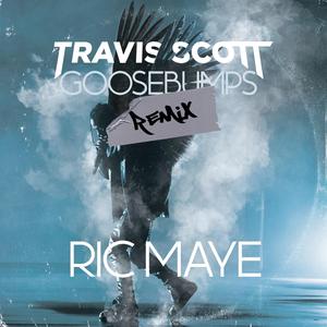 Goosebumps (Remix) (Remix)