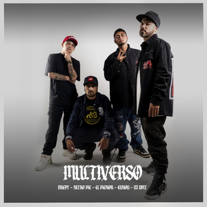 Multiverso