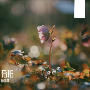 初三（prod.By Lisure）