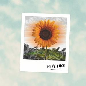 Feel Like