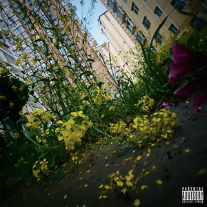 清明時節雨紛紛 The Rain is Pouring