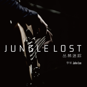 Jungle Lost (丛林迷踪)