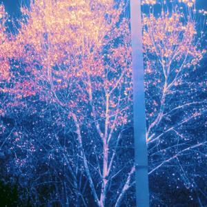 烂掉吧（Prod by ANGER & Siren）