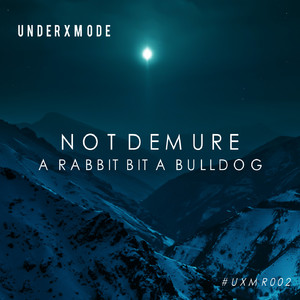 A rabbit bit a bulldog (Original Mix)