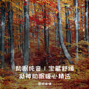 助眠减压疗愈轻音乐（自然雨声）