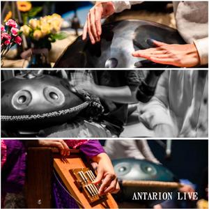 返璞归真 432Hz Live