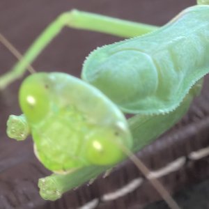 男人的毁灭_134366467024559104_1778350716587.wav