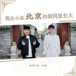 我从小在北京的胡同里长大