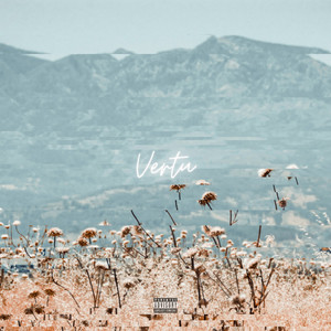 Vertu