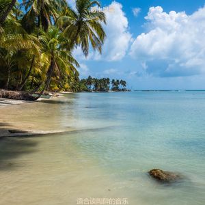 适合读陶醉的音乐