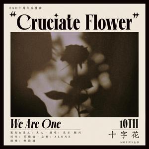 十字花_EXO十周年应援曲