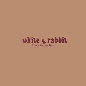 white rabbit (Cover)