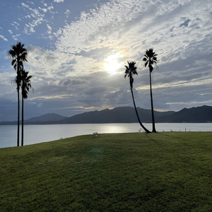 類人猿と共に By Being Around Hominoids