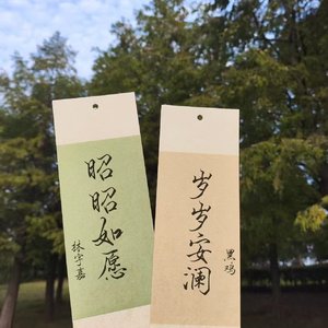 袁鑫悦and林宇嘉