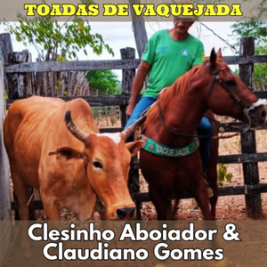 Senti Saudade e Chorei
