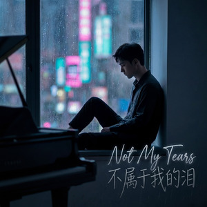 不属于我的泪