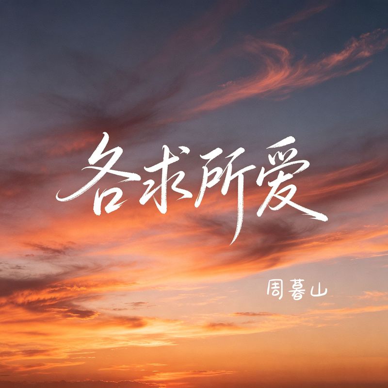 各求所爱封面