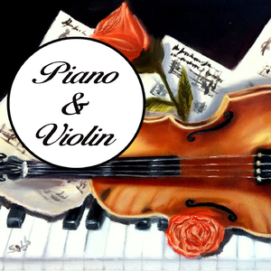 Violin Sonata No. 1 in D Minor, Op. 75: III. Allegro moderato