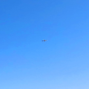Trip