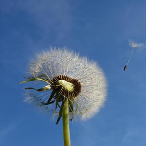 你在终点等我（翻唱）