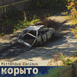 Корыто