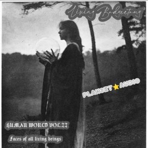 ~佳代子與黑貓 (Onikata kayoko & kuroneko)