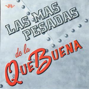 Olfateando el Animal