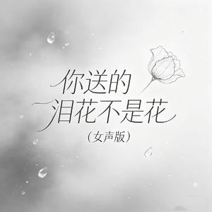 你送的泪花不是花(女声版)