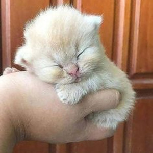 Blown Away (sped up)