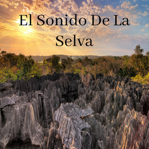 Tingulli i xhunglës