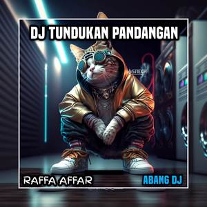 Tundukan Pandangan (Abang DJ Viral Tiktok Remix 2024)