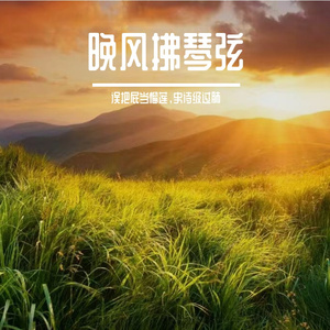 晚风拂琴弦